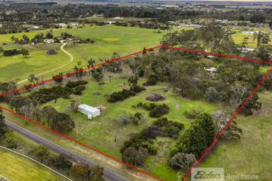 House For Sale - SA - Millicent - 5280 - Architecturally Designed Lifestyle Property with Self-Contained Granny Flat  (Image 2)