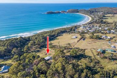 House For Sale - TAS - Eaglehawk Neck - 7179 - 1st available Showing will be this Saturday at 2.30pm Open Home
- Private Coastal Acreage – Space, Serenity & Lifestyle! Ready for renovation  (Image 2)