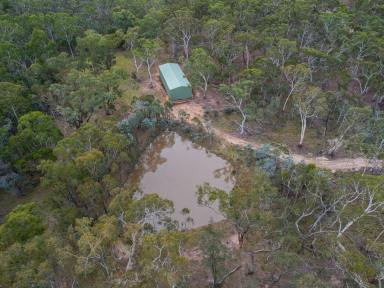 Lifestyle Sold - NSW - Greenwich Park - 2580 - Peaceful Bush Retreat – Your Rural Escape Awaits (Image 2)