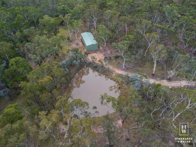 Lifestyle For Sale - NSW - Greenwich Park - 2580 - Peaceful Bush Retreat – Your Rural Escape Awaits  (Image 2)