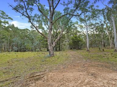Lifestyle Sold - NSW - Greenwich Park - 2580 - Peaceful Bush Retreat – Your Rural Escape Awaits (Image 2)