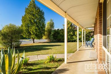 House For Sale - TAS - Prospect Vale - 7250 - Contemporary Living in Prime Location  (Image 2)