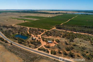 Horticulture For Sale - VIC - Iraak - 3494 - Irrigated Agri Development Farm - 273.6Ha  (Image 2)