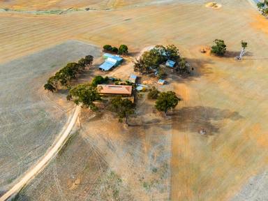 Mixed Farming For Sale - VIC - Homebush - 3465 - "Watlington" -  44.37HA (109.64 Acres) Highly Improved Avoca District Property  (Image 2)