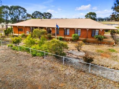 Mixed Farming For Sale - VIC - Homebush - 3465 - "Watlington" -  44.37HA (109.64 Acres) Highly Improved Avoca District Property  (Image 2)