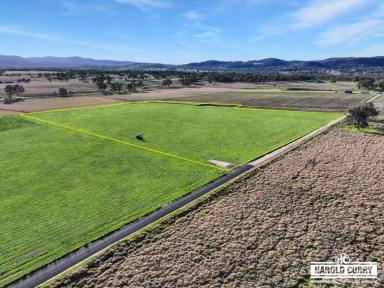 Residential Block For Sale - NSW - Tenterfield - 2372 - Sunnyside Acreage.....  (Image 2)