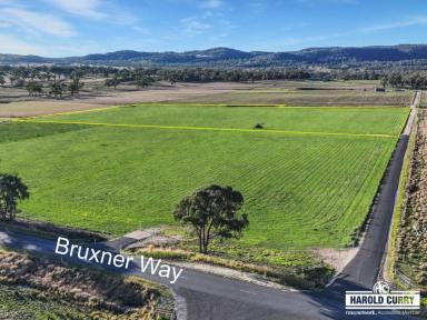 Residential Block For Sale - NSW - Tenterfield - 2372 - Sunnyside Acreage.....  (Image 2)
