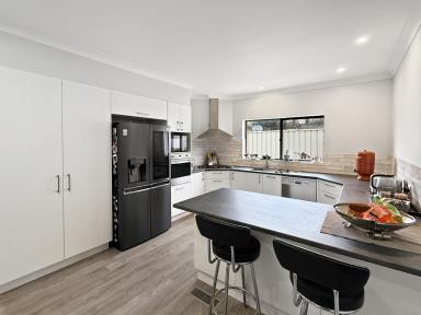 House For Sale - NSW - Cooma - 2630 - Modern Family Home  (Image 2)