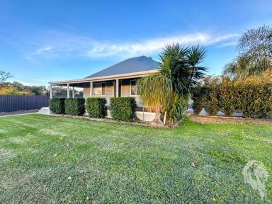 Acreage/Semi-rural For Sale - NSW - Narrabri - 2390 - DON'T FEEL HEMMED IN WITH THIS GORGEOUS COTTAGE & SHEDS!  (Image 2)
