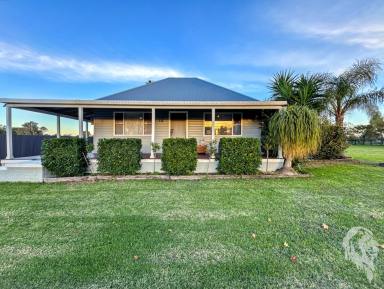 Acreage/Semi-rural For Sale - NSW - Narrabri - 2390 - DON'T FEEL HEMMED IN WITH THIS GORGEOUS HOME & SHEDS!  (Image 2)