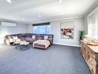 Acreage/Semi-rural For Sale - NSW - Narrabri - 2390 - DON'T FEEL HEMMED IN WITH THIS GORGEOUS COTTAGE & SHEDS!  (Image 2)