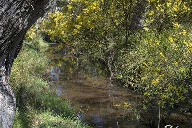 Residential Block For Sale - VIC - Strathbogie - 3666 - Tranquil 2.5-Acre Property Backing onto Spring Creek Reserve  (Image 2)