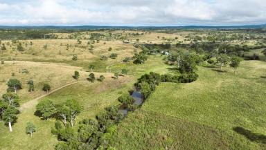 Livestock For Sale - QLD - Moffatdale - 4605 - A Quality Breeding & Backgrounding Haven  (Image 2)