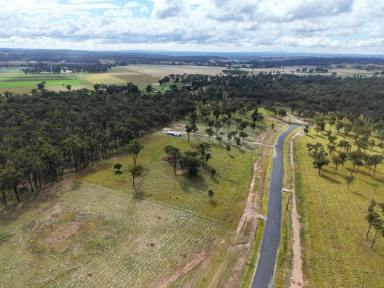 Residential Block For Sale - QLD - Nanango - 4615 - ELEVATED BUILD-READY-LAND  (Image 2)