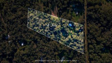 Acreage/Semi-rural For Sale - QLD - Wolvi - 4570 - Private Bush Retreat with Dual Living & Income Potential on 9.88 Acres  (Image 2)