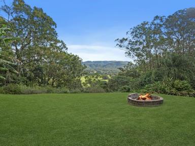 House For Sale - QLD - Gilston - 4211 - Rare Riverfront Acreage – Renovated, Elevated, and Ready to Enjoy  (Image 2)