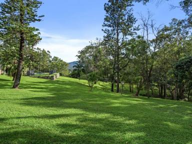House For Sale - QLD - Gilston - 4211 - Rare Riverfront Acreage – Renovated, Elevated, and Ready to Enjoy  (Image 2)