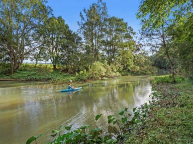 House For Sale - QLD - Gilston - 4211 - Rare Riverfront Acreage – Renovated, Elevated, and Ready to Enjoy  (Image 2)