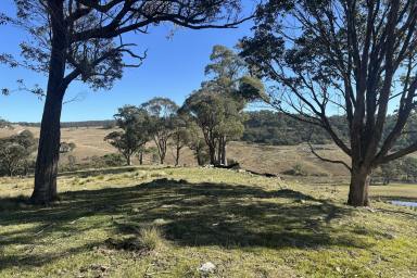 Other (Rural) For Sale - NSW - Taralga - 2580 - This is the one you have been waiting for!!!  (Image 2)