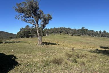 Other (Rural) For Sale - NSW - Taralga - 2580 - This is the one you have been waiting for!!!  (Image 2)