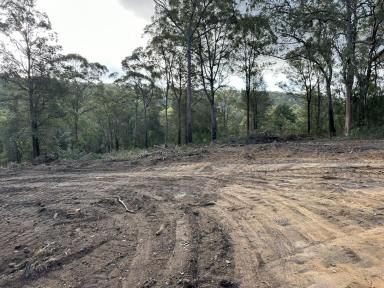 Lifestyle For Sale - NSW - Putty - 2330 - Secluded Lifestyle Property  (Image 2)