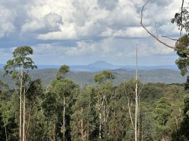 Lifestyle For Sale - NSW - Putty - 2330 - Secluded Lifestyle Property  (Image 2)