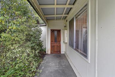 House For Sale - VIC - Noojee - 3833 - PRIVATE GETAWAY with RIVER FRONTAGE  (Image 2)
