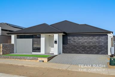 House For Sale - WA - Anketell - 6167 - Quality Build, Prime Location, Exceptional Value - 55 Halbert Rise Anketell WA 6167  (Image 2)