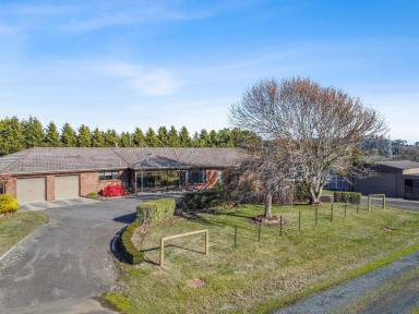 House For Sale - TAS - Travellers Rest - 7250 - Your Own Piece of Paradise  (Image 2)