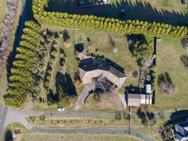 House For Sale - TAS - Travellers Rest - 7250 - Your Own Piece of Paradise  (Image 2)