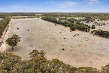 Mixed Farming For Sale - VIC - Kamarooka - 3570 - Lifestyle and farming opportunity  (Image 2)