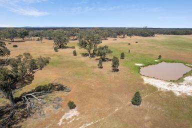 Mixed Farming For Sale - VIC - Kamarooka - 3570 - Lifestyle and farming opportunity (Image 2)