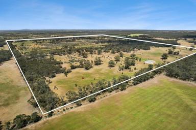 Mixed Farming For Sale - VIC - Kamarooka - 3570 - Lifestyle and farming opportunity  (Image 2)