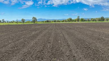 Lifestyle Auction - NSW - Tamworth - 2340 - EXCEPTIONAL LIFESTYLE AND IRRIGATION PROPERTY ONLY TEN MINUTES TO THE CBD  (Image 2)