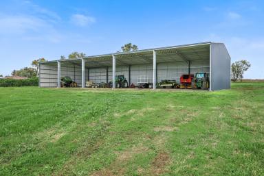 Lifestyle Auction - NSW - Tamworth - 2340 - EXCEPTIONAL LIFESTYLE AND IRRIGATION PROPERTY ONLY TEN MINUTES TO THE CBD  (Image 2)