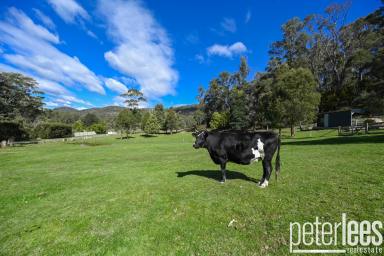 House For Sale - TAS - Karoola - 7267 - Tall Timbers  (Image 2)