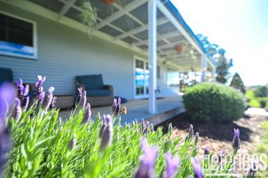 House For Sale - TAS - Karoola - 7267 - Tall Timbers  (Image 2)