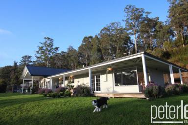 House For Sale - TAS - Karoola - 7267 - Tall Timbers  (Image 2)