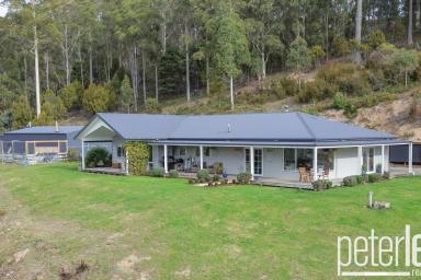 House For Sale - TAS - Karoola - 7267 - Country Charm Meets Modern Living  (Image 2)