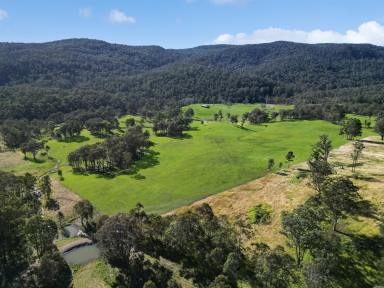 Lifestyle Auction - NSW - Nowendoc - 2354 - Lifestyle, Grazing & Natural Biodiversity  (Image 2)
