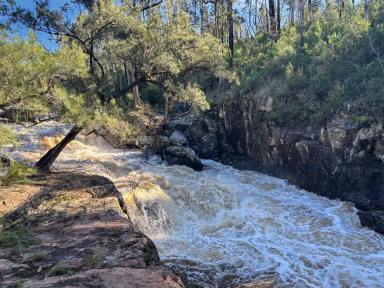 Lifestyle Auction - NSW - Nowendoc - 2354 - Lifestyle, Grazing & Natural Biodiversity  (Image 2)