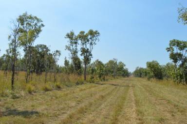 Residential Block Sold - NT - Darwin River - 0841 - Darwin River 20 Acres  (Image 2)