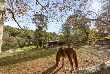 House For Sale - WA - Bickley - 6076 - "INDAVALLI" - Pony Lovers Paradise  (Image 2)