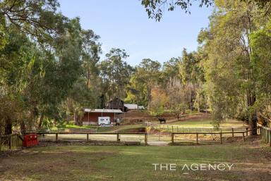 House For Sale - WA - Bickley - 6076 - "INDAVALLI" - Pony Lovers Paradise  (Image 2)