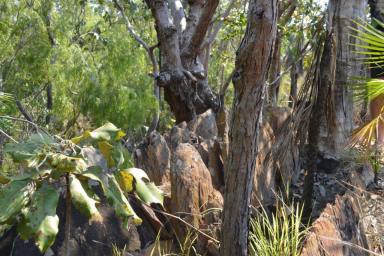Residential Block Sold - NT - Darwin River - 0841 - 146+ Acres Darwin River  (Image 2)