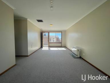 Unit Leased - NSW - Inverell - 2360 - Tidy Unit in Ashford  (Image 2)