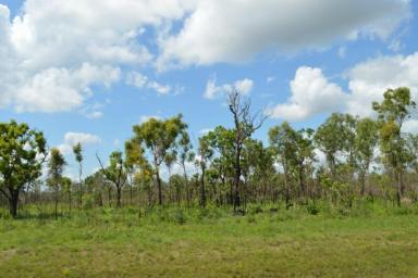 Residential Block Sold - NT - Darwin River - 0841 - 20 Acres with a bore  Darwin River  (Image 2)