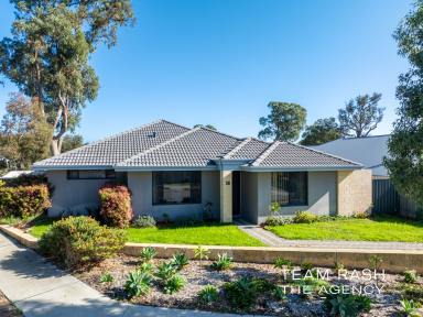 House For Sale - WA - Wellard - 6170 - Spacious 4-Bedroom Corner Block Family Home in Prime Wellard Location  (Image 2)