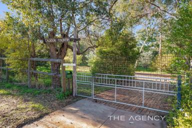 House For Sale - WA - Wattle Grove - 6107 - Open Sunday 1:00  (Image 2)