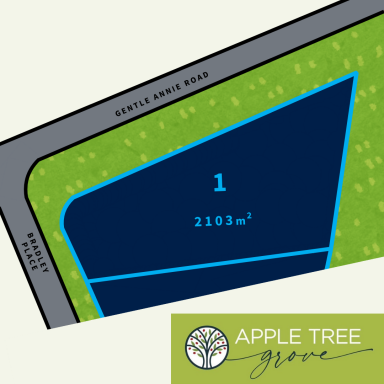 Residential Block For Sale - QLD - Apple Tree Creek - 4660 - One of the Best  (Image 2)